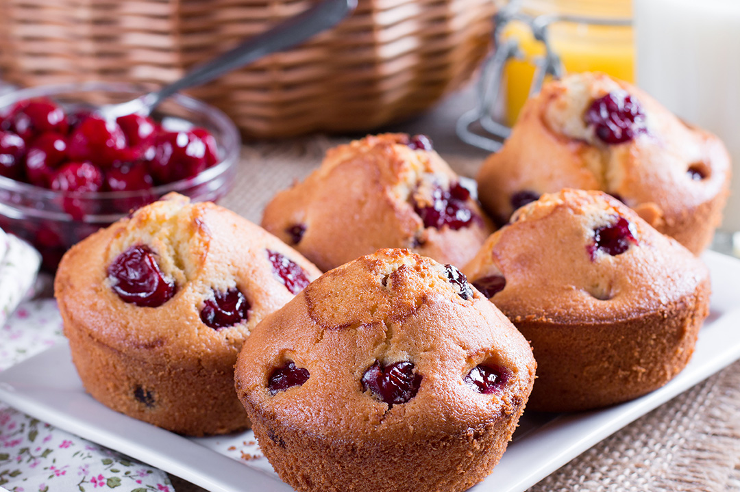 Complete line for muffins, cakes and brownies OVA projects